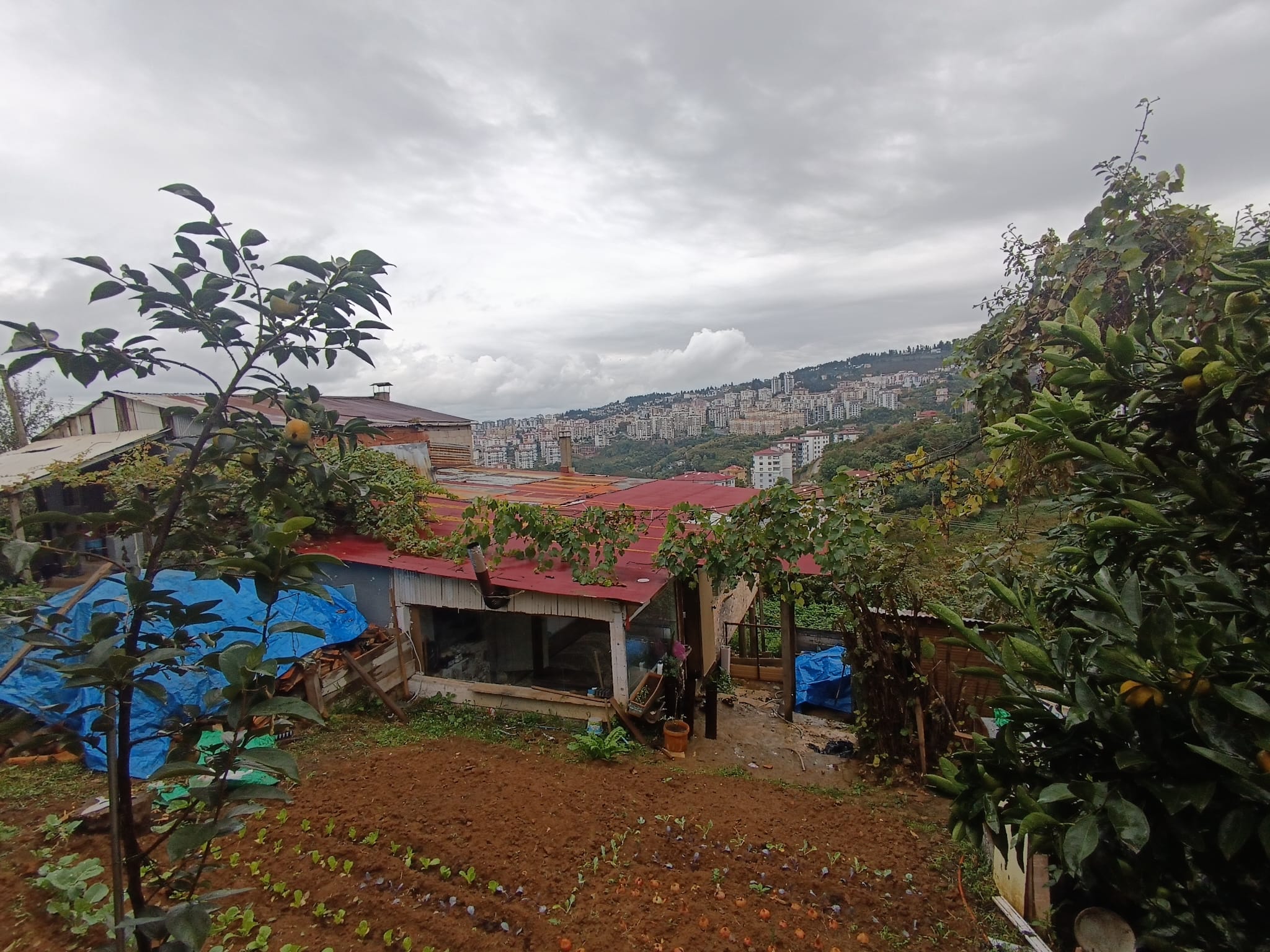 KARŞIKAHA MAH SATILIK ARSA